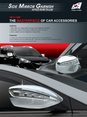 B639 Side Mirror Garnish